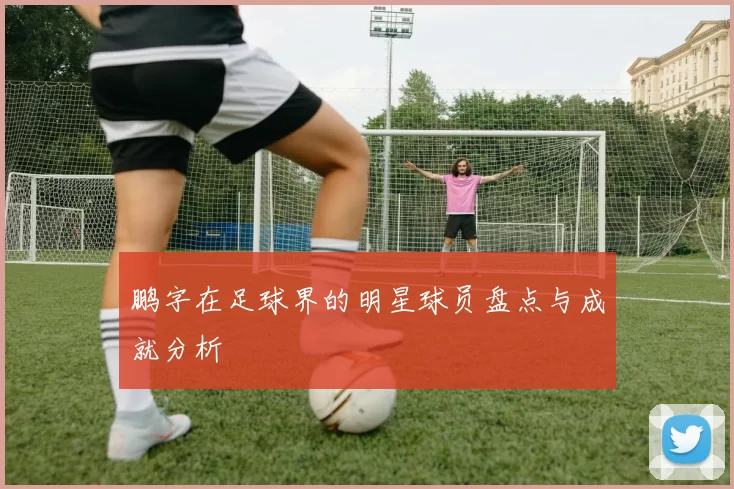鹏字在足球界的明星球员盘点与成就分析
