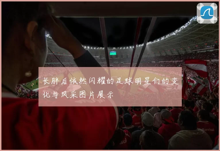 长胖后依然闪耀的足球明星们的变化与风采图片展示