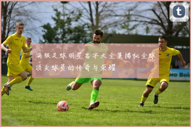 满级足球明星名字大全集揭秘全球顶尖球员的传奇与荣耀
