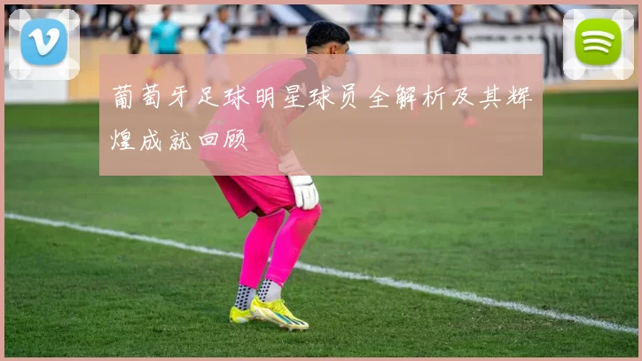 葡萄牙足球明星球员全解析及其辉煌成就回顾