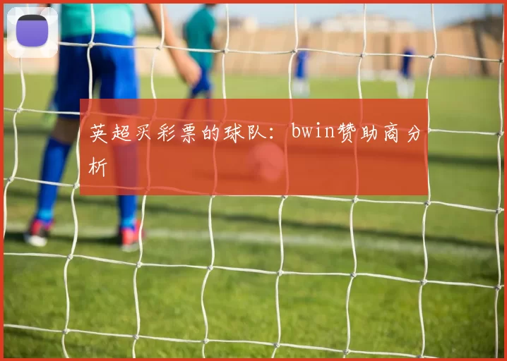 英超买彩票的球队：bwin赞助商分析
