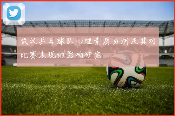 武汉乒乓球队心理素质分析及其对比赛表现的影响研究