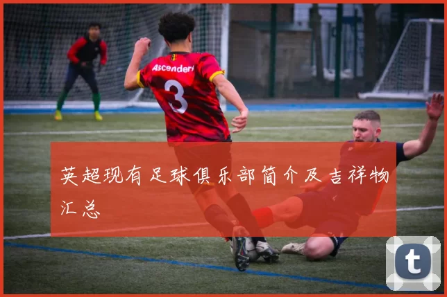 英超现有足球俱乐部简介及吉祥物汇总