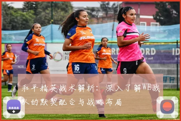 和平精英战术解析：深入了解WE战队的默契配合与战略布局