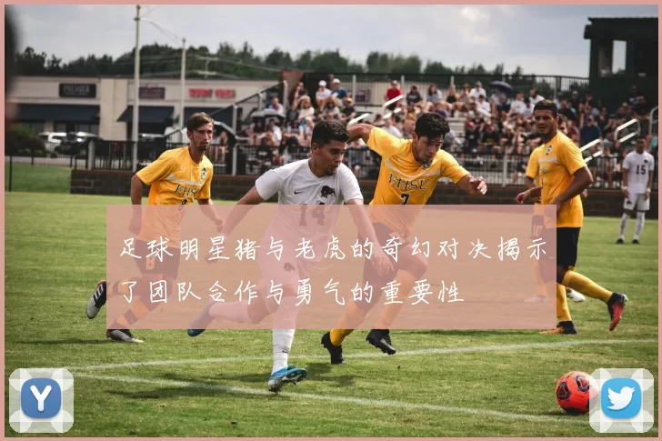 足球明星猪与老虎的奇幻对决揭示了团队合作与勇气的重要性