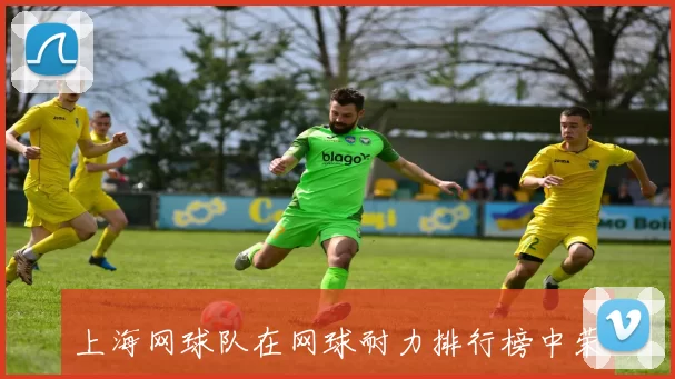 上海网球队在网球耐力排行榜中荣获第三名的佳绩引发关注