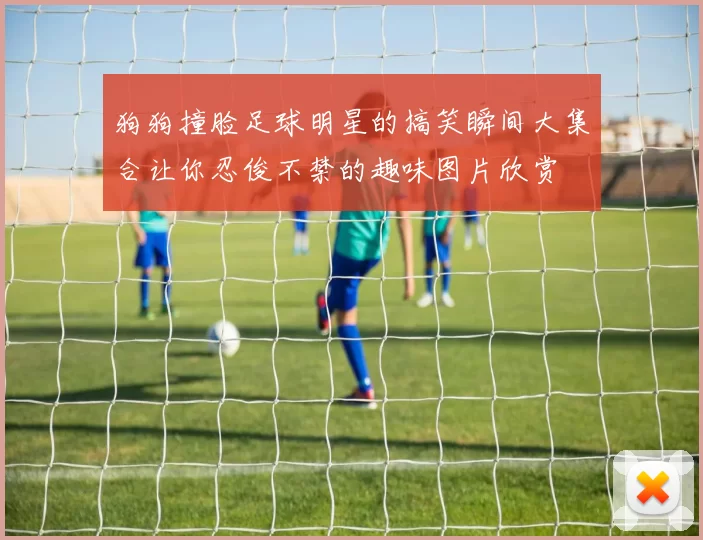 狗狗撞脸足球明星的搞笑瞬间大集合让你忍俊不禁的趣味图片欣赏