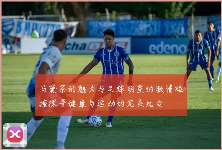 马黛茶的魅力与足球明星的激情碰撞探寻健康与运动的完美结合