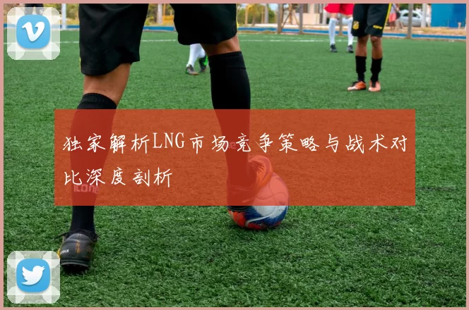 独家解析LNG市场竞争策略与战术对比深度剖析