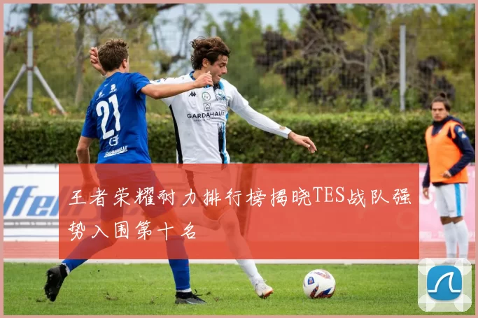 王者荣耀耐力排行榜揭晓TES战队强势入围第十名