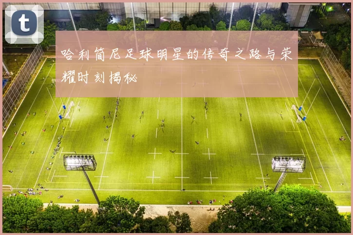 哈利简尼足球明星的传奇之路与荣耀时刻揭秘
