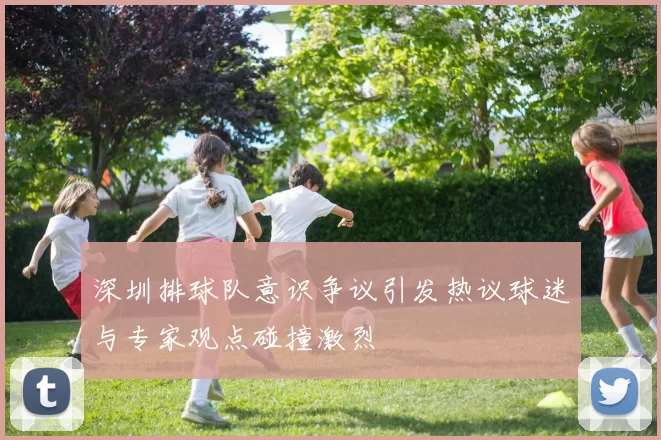 深圳排球队意识争议引发热议球迷与专家观点碰撞激烈