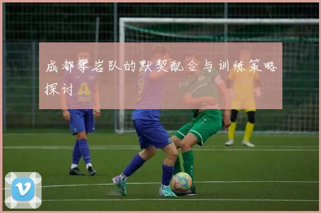 成都攀岩队的默契配合与训练策略探讨