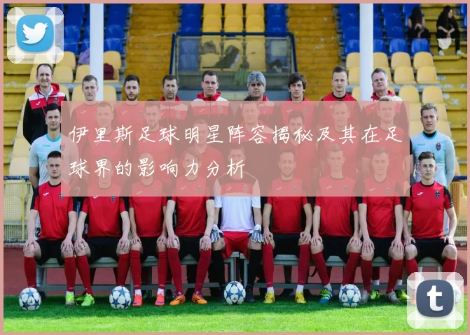伊里斯足球明星阵容揭秘及其在足球界的影响力分析