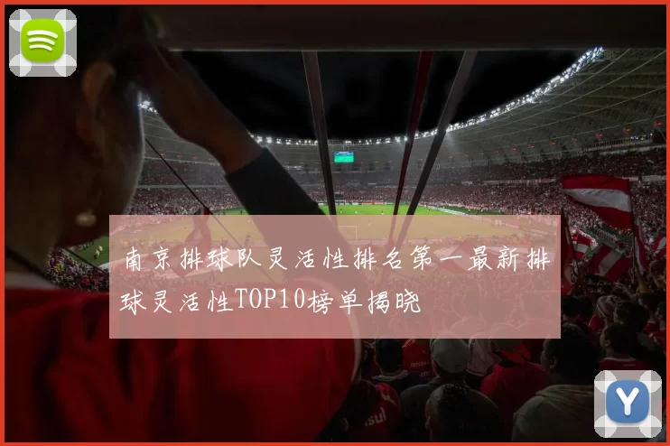南京排球队灵活性排名第一最新排球灵活性TOP10榜单揭晓