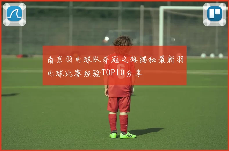 南京羽毛球队夺冠之路揭秘最新羽毛球比赛经验TOP10分享