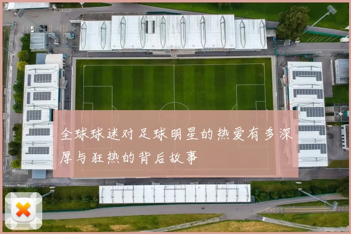 全球球迷对足球明星的热爱有多深厚与狂热的背后故事