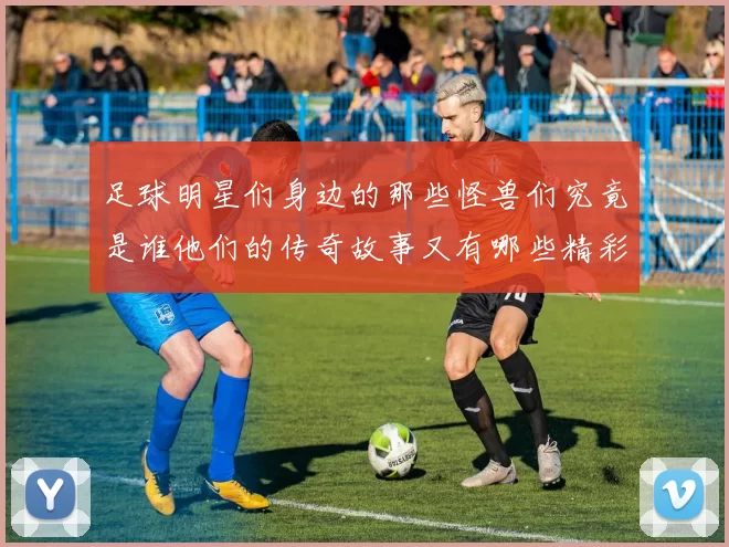 足球明星们身边的那些怪兽们究竟是谁他们的传奇故事又有哪些精彩瞬间