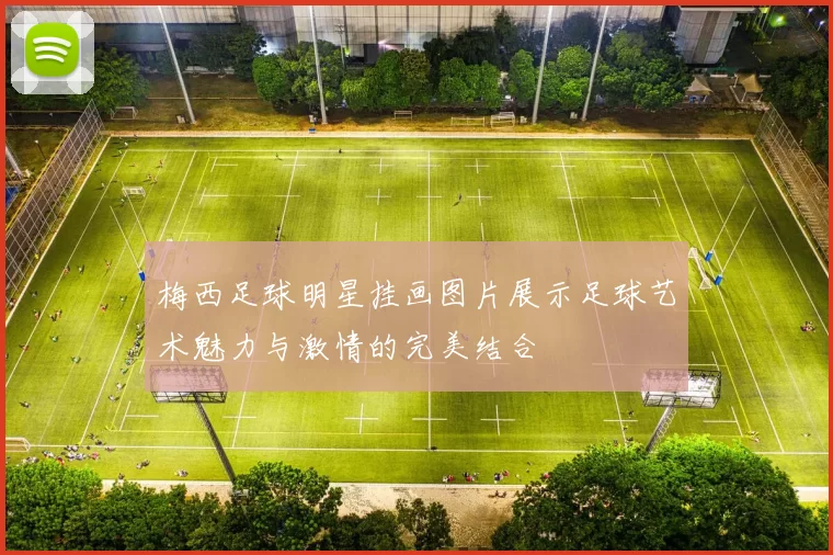 梅西足球明星挂画图片展示足球艺术魅力与激情的完美结合