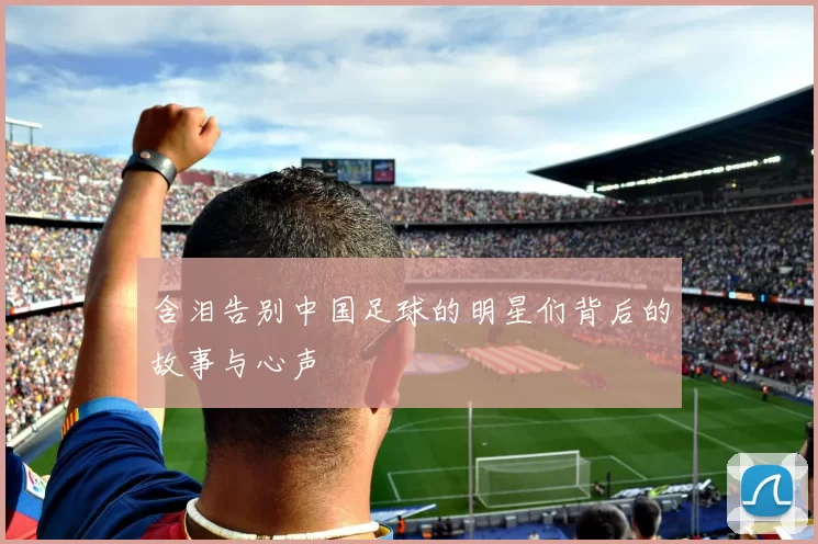 含泪告别中国足球的明星们背后的故事与心声