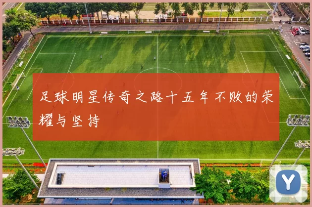 足球明星传奇之路十五年不败的荣耀与坚持