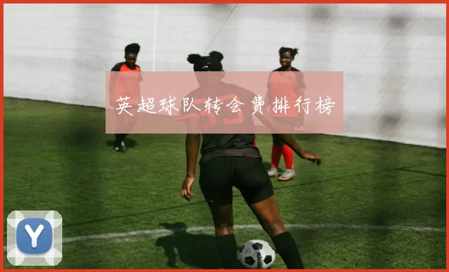 英超球队转会费排行榜