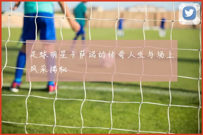 足球明星卡萨诺的传奇人生与场上风采揭秘