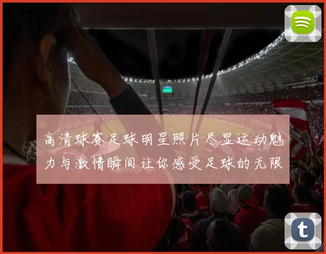 高清球赛足球明星照片尽显运动魅力与激情瞬间让你感受足球的无限魅力