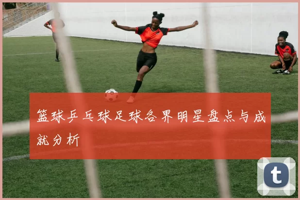 篮球乒乓球足球各界明星盘点与成就分析