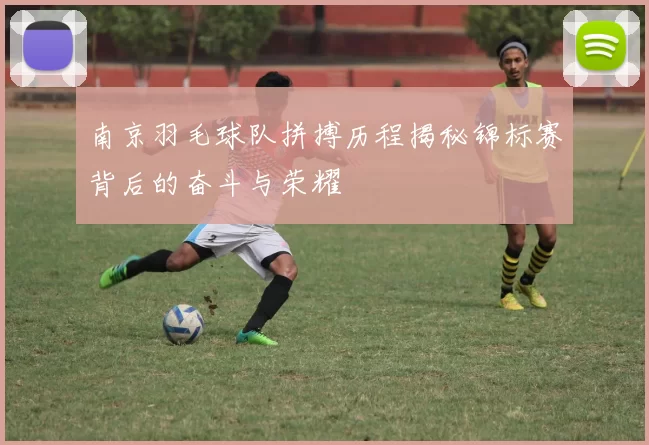 南京羽毛球队拼搏历程揭秘锦标赛背后的奋斗与荣耀