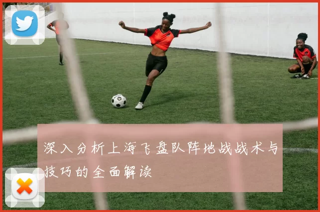 深入分析上海飞盘队阵地战战术与技巧的全面解读